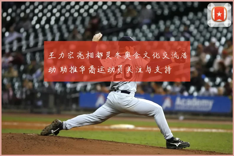 王力宏亮相都灵冬奥会文化交流活动 助推华裔运动员关注与支持