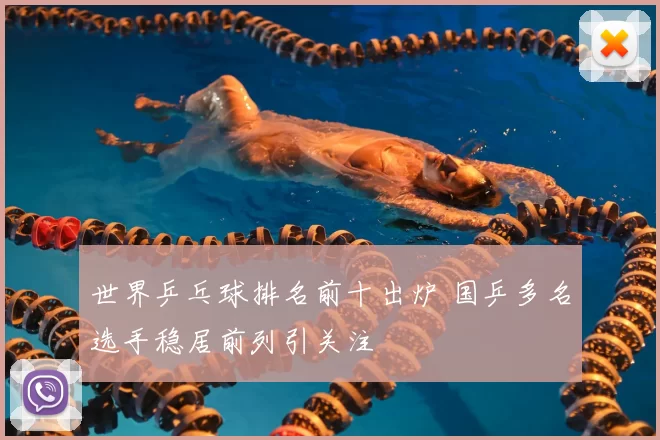 世界乒乓球排名前十出炉 国乒多名选手稳居前列引关注